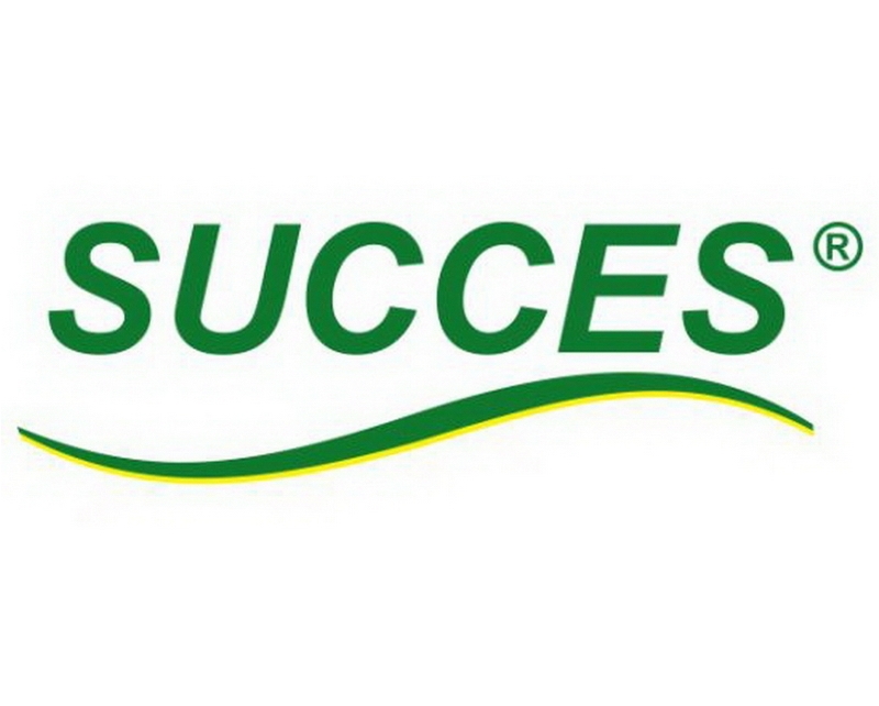 succes-nic-com.jpg